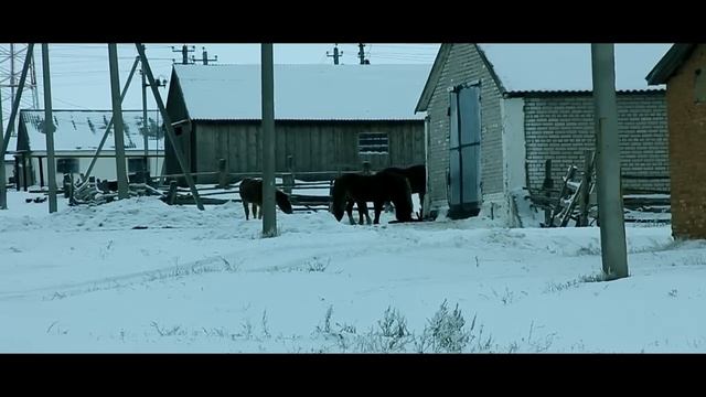 Cельская жизнь, зима. Бузулук. Бузулукский район.Canon 60D