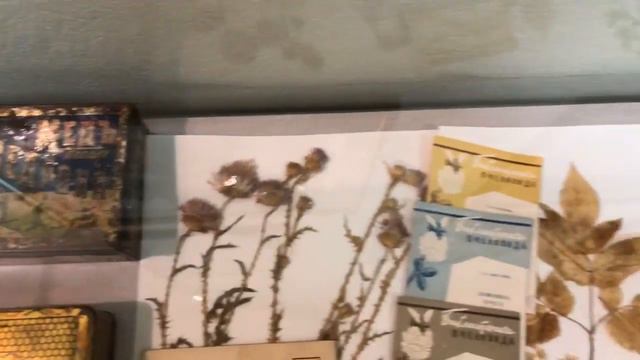 Бурзянская пчела смотреть онлайн