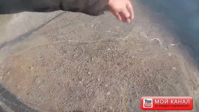 Рыболовная снасть паук, Дальневосточный вариант. (Паук у нас круглой формы).