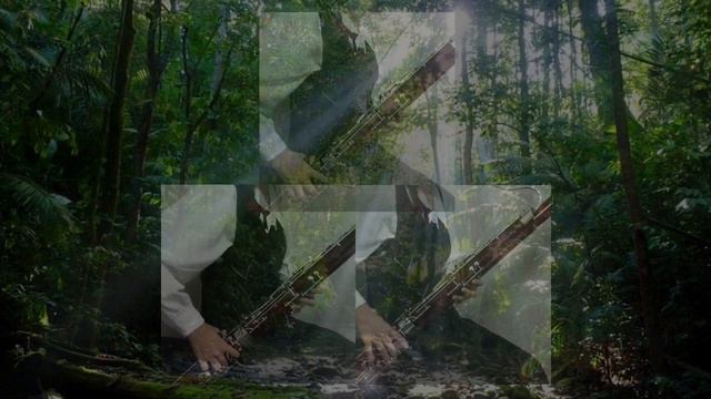 ハウルの動く城メドレー【fagotto/bassoon cover】Howl's Moving Castle Medley смотреть онлайн