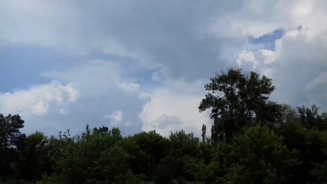 Капуста померла Непонятные растения вместо баклажан смотреть онлайн