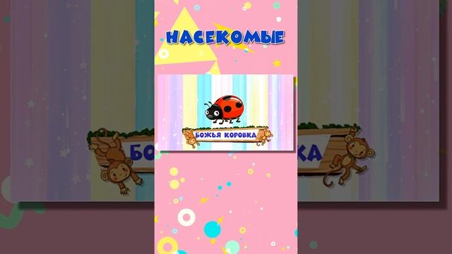 Насекомые ? Учим насекомых | Викторина про насекомых | Божья коровка #насекомые #учимнасекомых смотреть онлайн