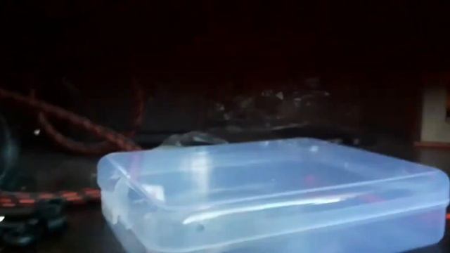 Обзор на фингерсамокат с алиэкспресса!? Качество СУПЕР!!!??? смотреть онлайн