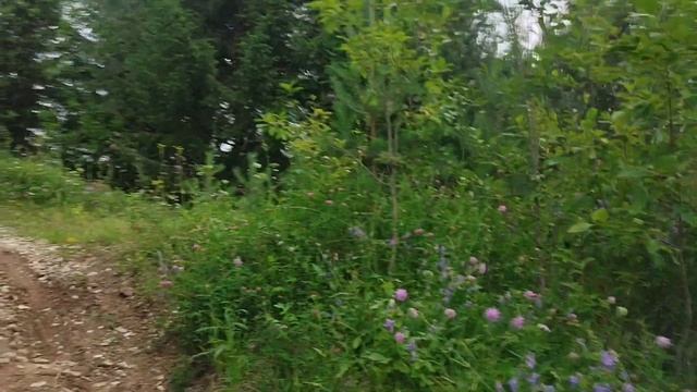 #Kugoo C7 3950 ватт просто зверь