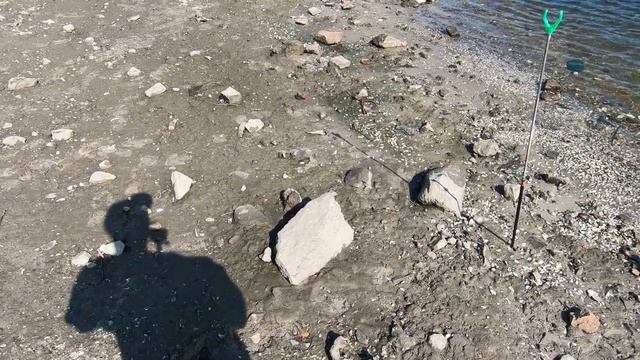 ЗАПОРОЖЬЕ РЫБАЛКА НА ДНЕПРЕ КЛЕВ ТАРАНИ 05.09.2023 смотреть онлайн