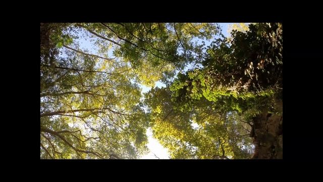 Музыка для Душевного Спокойствия и Внутренней Гармонии/Music for Peace of Mind and Inner Harmony смотреть онлайн