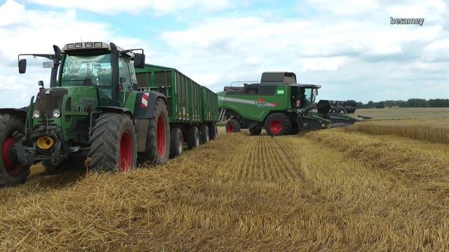 Fendt Mähdrescher - Getreideernte - Weizen Mähen - Anlieferung Zum Hafen - Combine Harvester Wheat