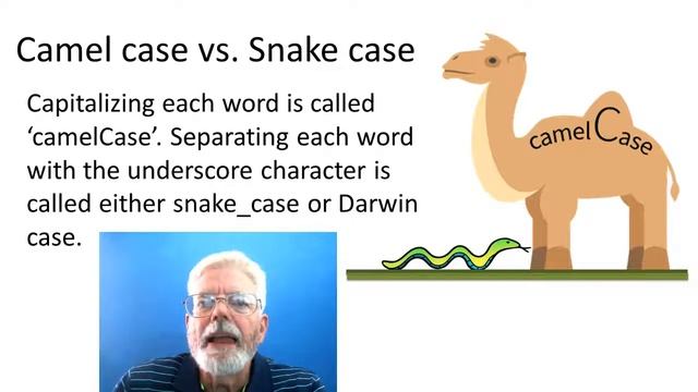 Naming Rules and Conventions смотреть онлайн