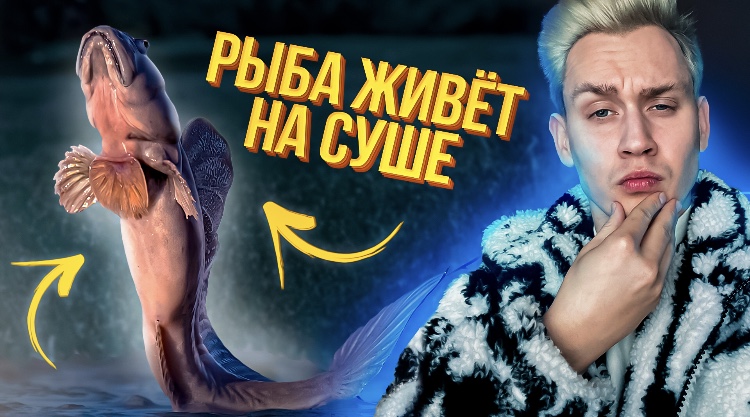 Любопытные факты, которые тебе точно будут интересны смотреть онлайн