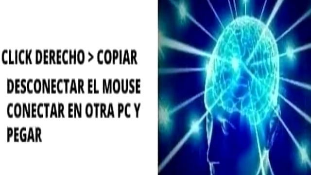 Es Una Cola Real ? смотреть онлайн