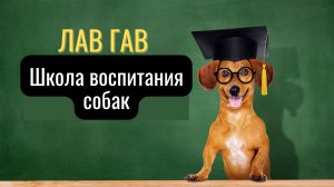 Лав Гав — школа воспитания и коррекции поведения собак Бесплатный выидеокурс.mp4