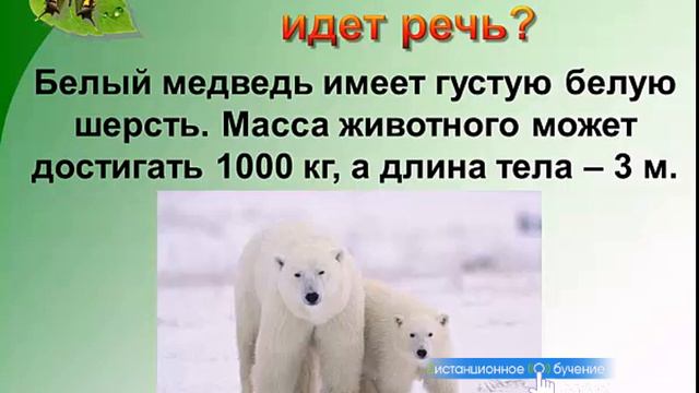 Репетитор биологии по Скайпу http://a-distanceschool.ru/obshhie/biologiya/ смотреть онлайн