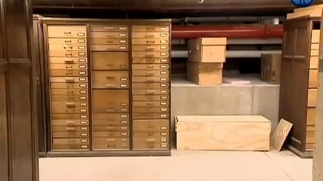 Загадки доисторических животных, Франция, 2010 смотреть онлайн