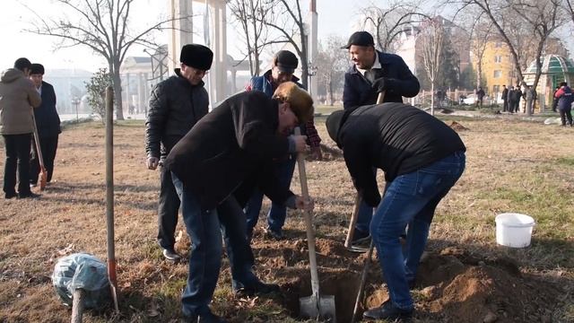 Акция по посадке саженцев "Создадим зеленый Худжанд вместе!" - прошла в городе Худжанд! смотреть онлайн