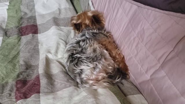 харьков.27марта.Мысли.... смотреть онлайн