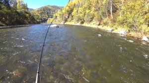 Рыбалка в тайге на горной реке! Хариус. Линок.