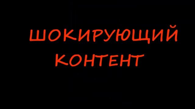 лягушка от болота до тарелки смотреть онлайн