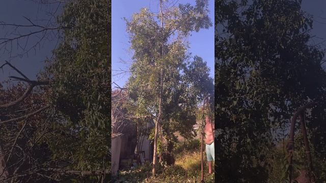 Маленький замок на Кавказе, история… смотреть онлайн