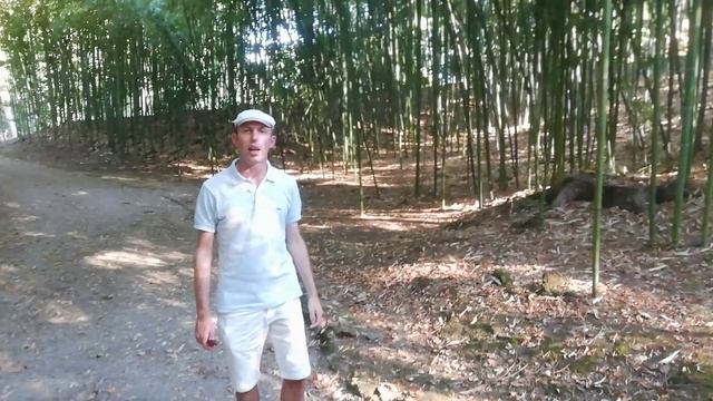 Francesco Monciatti presenta:"I Giardini ed il Parco della Villa Medicea di Poggio a Caiano (Prato) смотреть онлайн