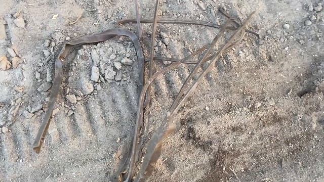 4500 руб/час с металлоискателем. смотреть онлайн