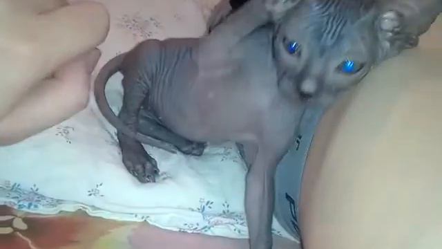 РАМЗЕС смотреть онлайн