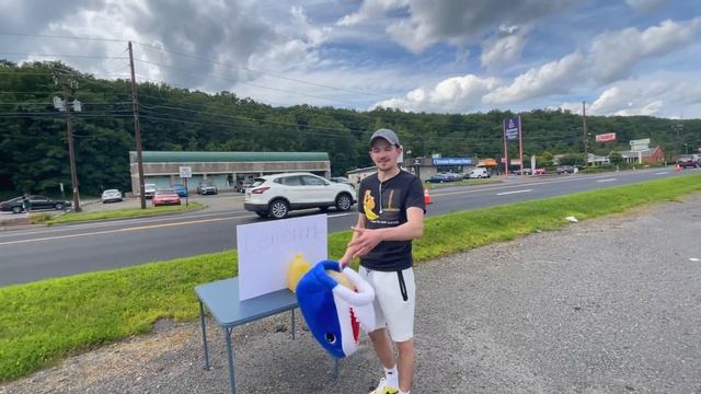 Lemonade Stand On The Side Of Highway! смотреть онлайн