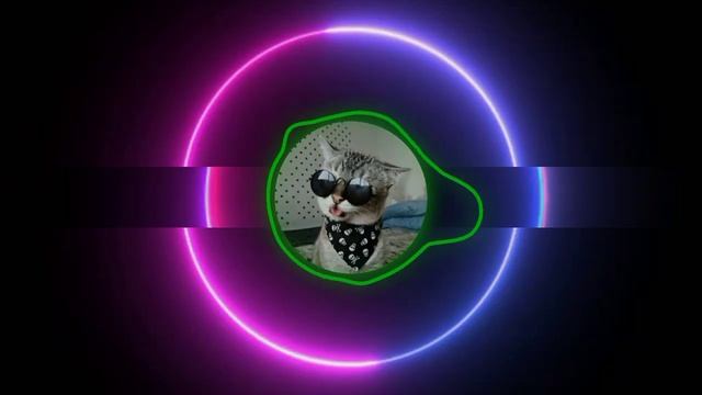 Levan Polkka - (Donald Duck Musics) смотреть онлайн