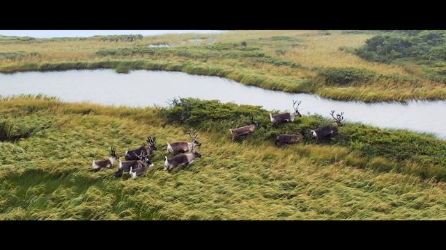 Россия, которой вы не видели смотреть онлайн