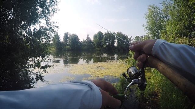 Ловля окуня на Дроп Шот | Нюансы и Проводки