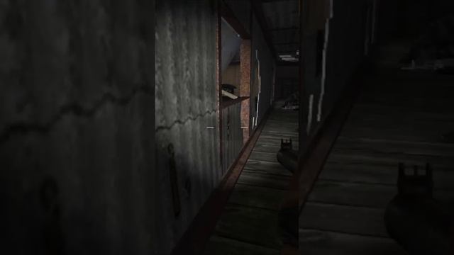 Мирные наёмники на Дикой территории - Сталкер: Тень Чернобыля #Shorts смотреть онлайн