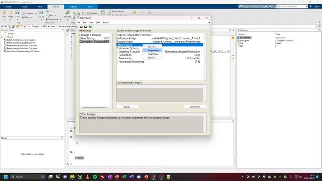 fMRI Analysis with SPM12: Functional Preprocessing (with GUI) смотреть онлайн