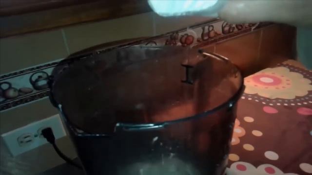CÒMO HACER CREMA DE ALOE VERA O SÀBILA. смотреть онлайн
