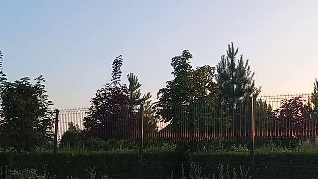 Закат в поле возле церкви #Shorts