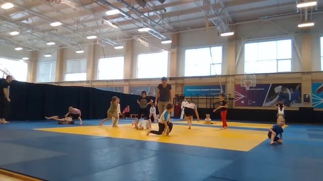 Тренировка Семья чемпионов (02.12) - 12:30 смотреть онлайн