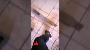 Форд транзит 2.4/140/ замена рессоры