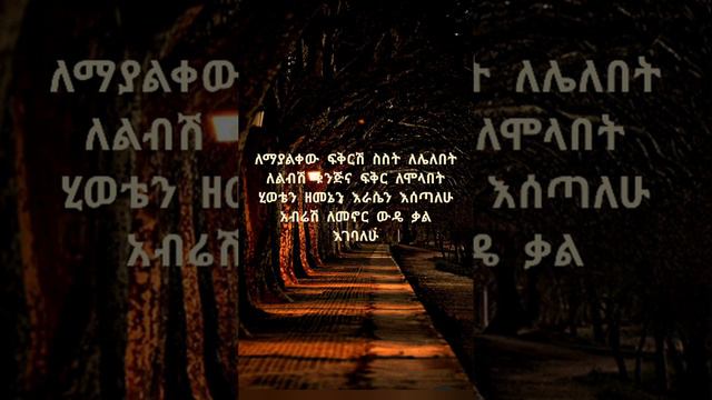 Djino Lyrics-Beki-X-Aman-Kal-New Ethiopian Music 2022(officoal video) смотреть онлайн