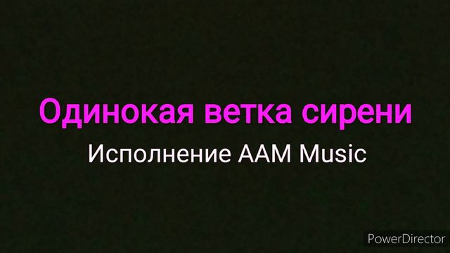 Одинокая ветка сирени - Исполнение ААМ Music смотреть онлайн