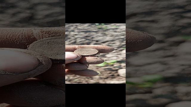 моей юности монетка.