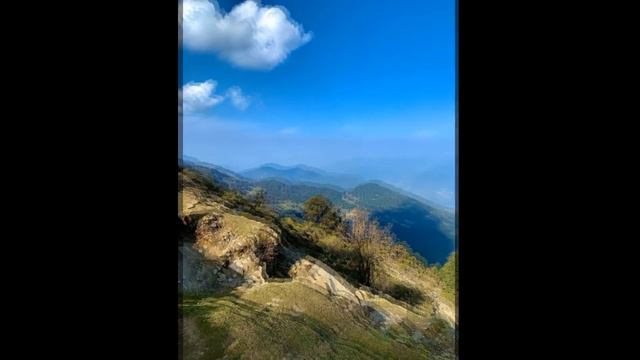 Раисат Магомедова  - Урк!и бузули лебай. Сл. М. Сулейманова 2023