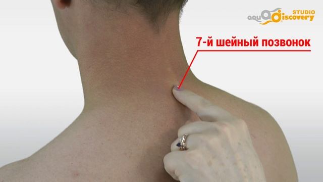 02а Длина головы Aquadiscovery снятие мерок м смотреть онлайн