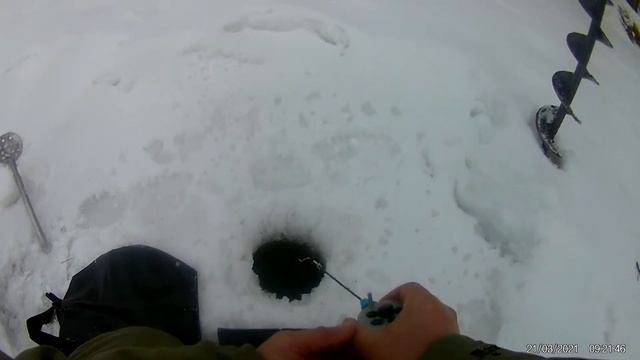 Зимняя рыбалка Март 2021! смотреть онлайн