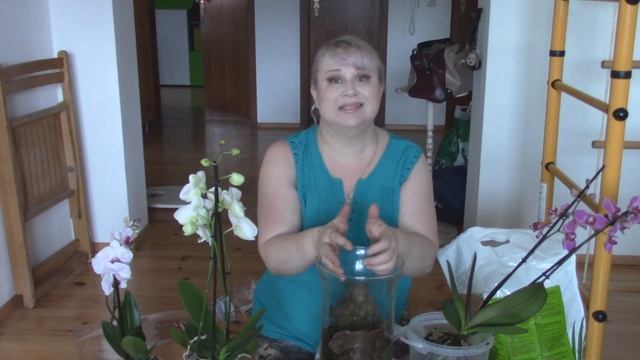 Подарок моей любимой свекрови :) ОРХИДЕИ В ЗАКРЫТОЙ СИСТЕМЕ с нуля. Поэтапно. смотреть онлайн