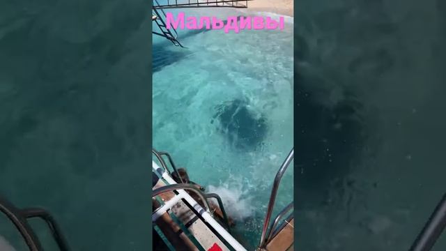 Турецкий Мальдивы. Остров в Средиземном море. Юг Турции Андросан смотреть онлайн