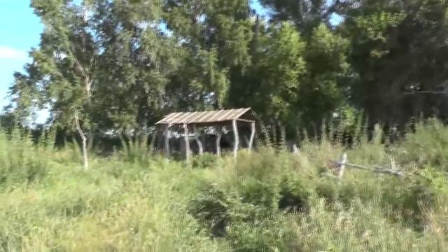 Осмотр детского лагеря-стана, ныне «Музея (комплекса) для бедных лагерей» 31.07. 2018 смотреть онлайн