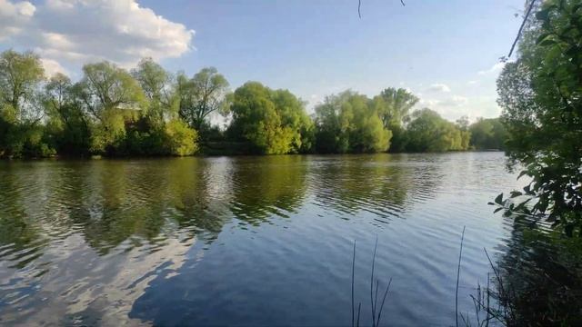 Эмоциональные переливы