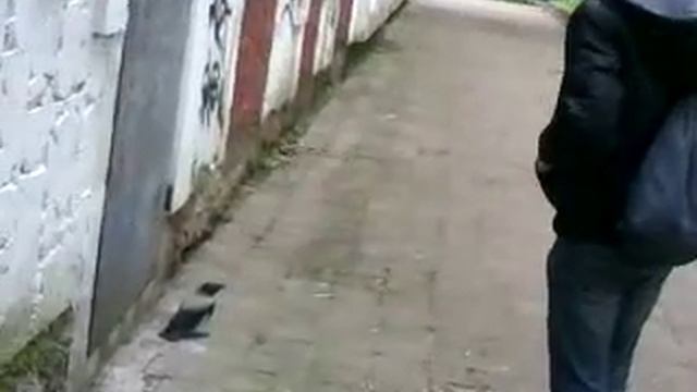 Борьба с воронами(Часть 2) смотреть онлайн