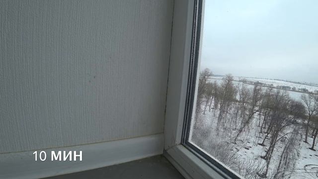 Как убрать плесень на стенах и окнах за 10 минут?! смотреть онлайн