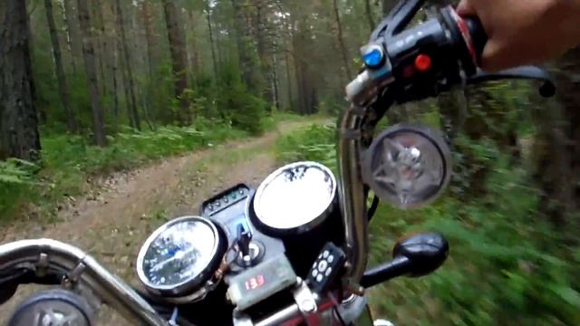 на мопеде ALPHA по лесу смотреть онлайн