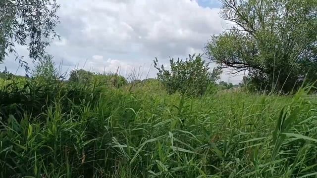 1 июля. Леонтий, Ипатий, Феодул. Ярилин День. Макушка Лета. Народный праздник 1 июля, приметы. смотреть онлайн