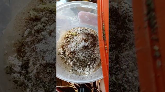 Ржано- пшеничный чесночный с травами кирпичик..mp4